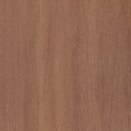 Sapele